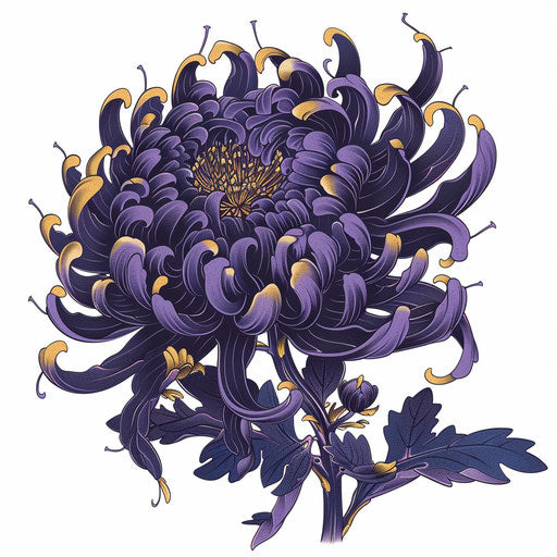 Japanese chrysanthemum tattoo on white background