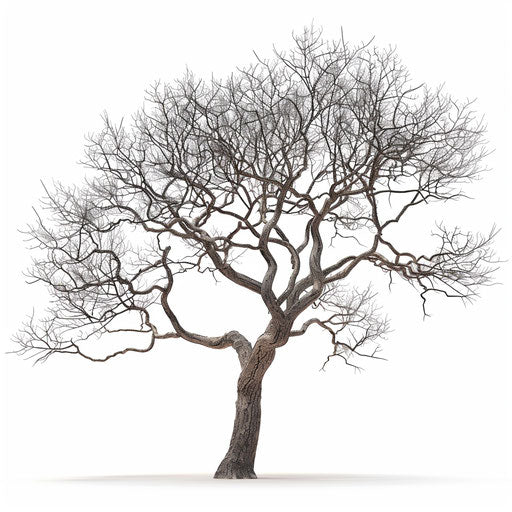 Realistic depiction of a bare tree on a flat white backdrop