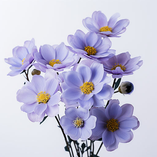 Blue flowers with yellow centers on white background