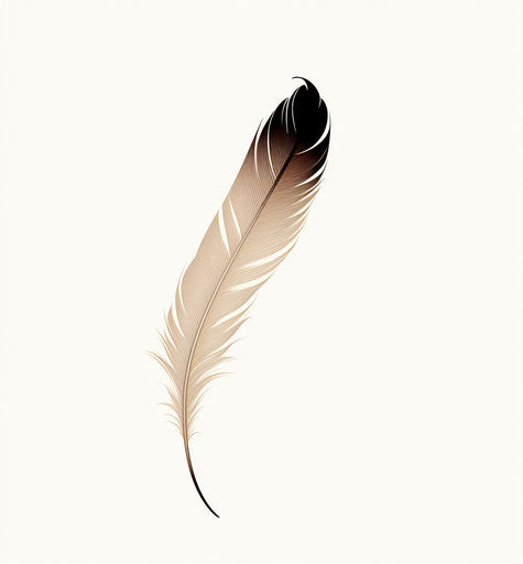 Minimalist black and white feather