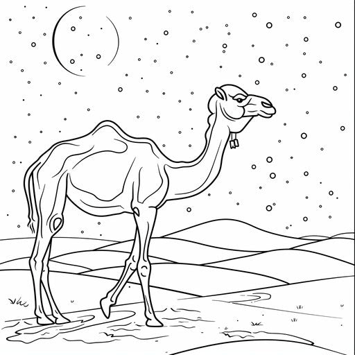 Camel under the moon in the desert