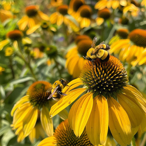 Busy bee collecting nectar from yellow flower