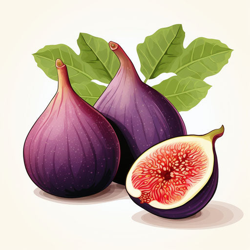 Illustration in the style of Chiaroscuro Art, on white background