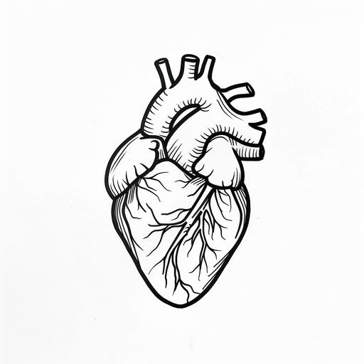 Minimalist black line art anatomical heart tattoo on white background