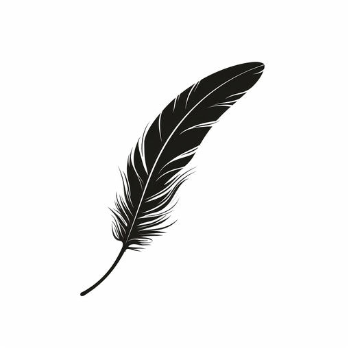 Minimalist feather on white background