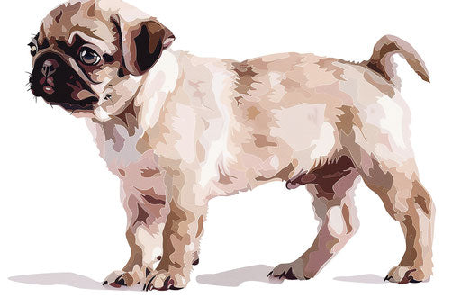 Pug puppy on white background in folk/naïve style
