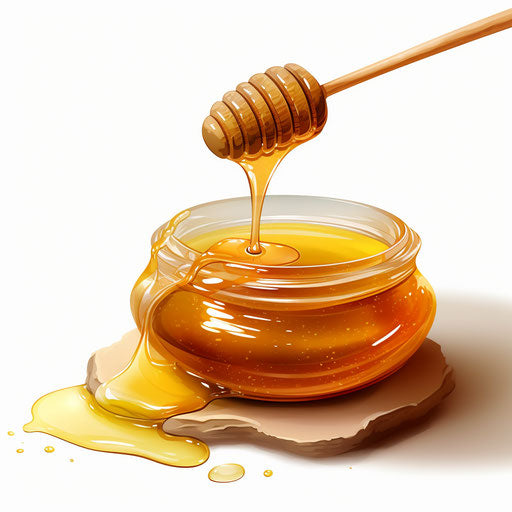 Honey illustration in the style of Chiaroscuro Art, on white background