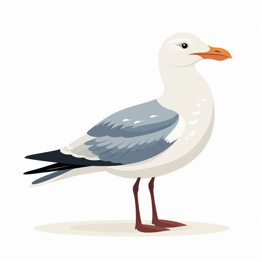 Seagull illustration in Minimalist style, on white background