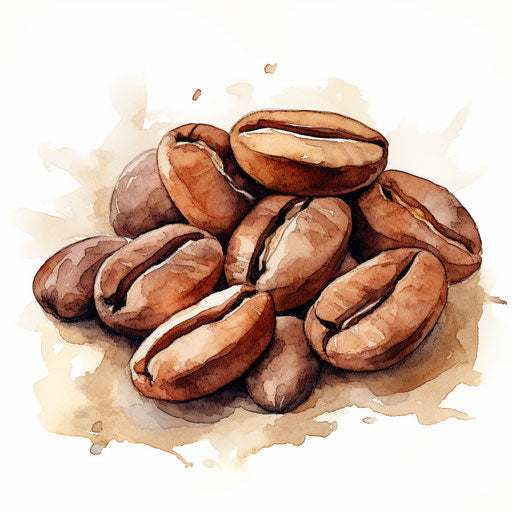 Coffee bean clipart in the style of Impressionistic Art, on white background