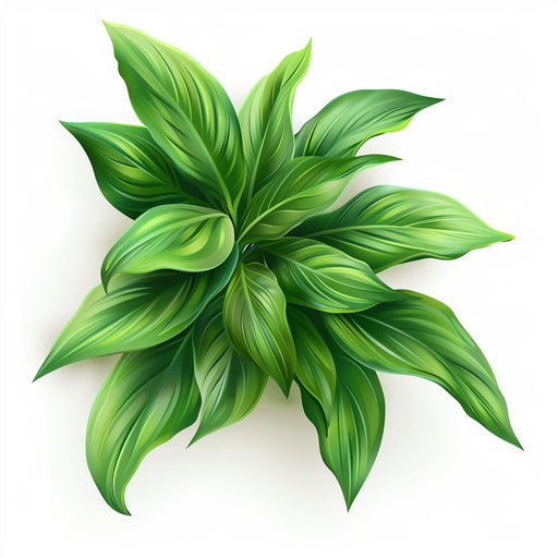 Realistic green clipart on flat white background, smooth gradi