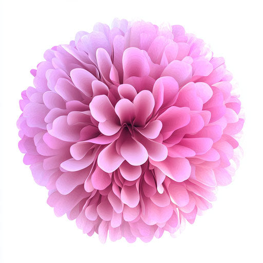 3D pom pom on flat white background, isolated clipart