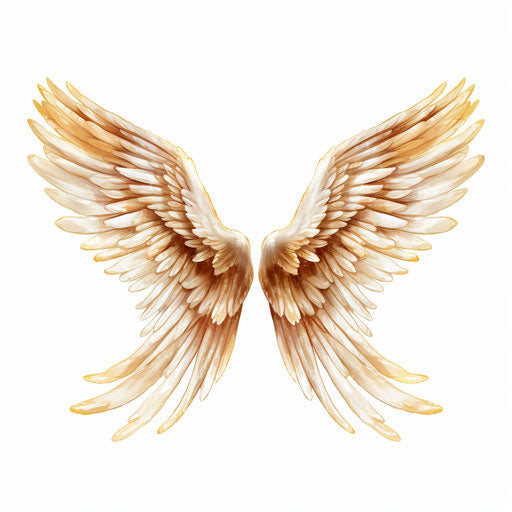 Angel wings clip art in the style of an Oil painting, on white background