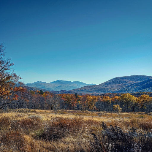 Catskill Mountains under a clear blue sky