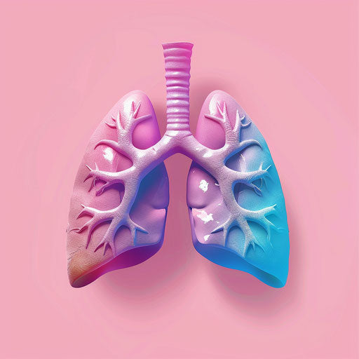 Realistic lungs clipart with random color background