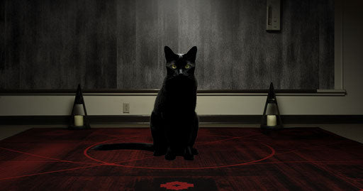 Black cat on carpet, genderless, wiccan style, explosive