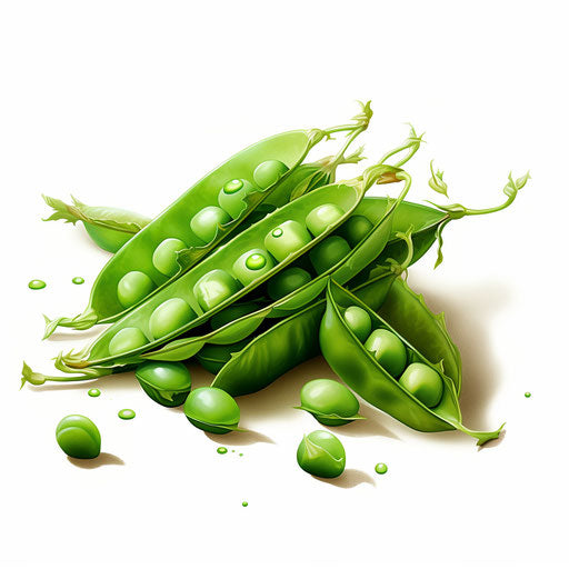 Illustration of peas in the Impressionistic Art style on white background