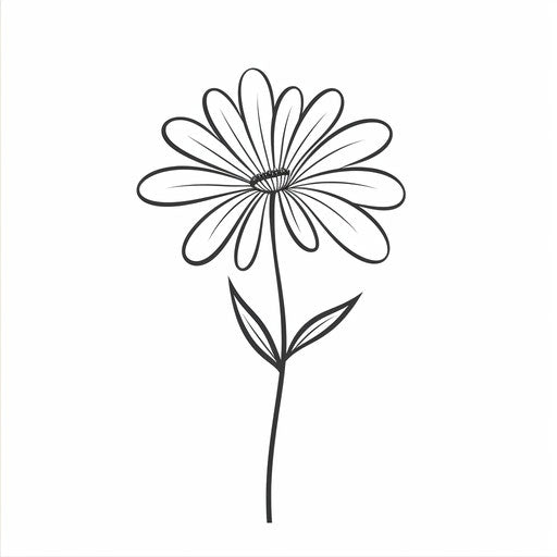 Minimalist style outline of flower on white background
