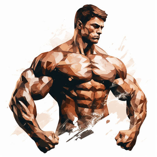 Muscle illustration in the style of Chiaroscuro Art, on a white background