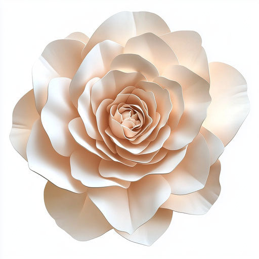 3D rose flower on flat white background