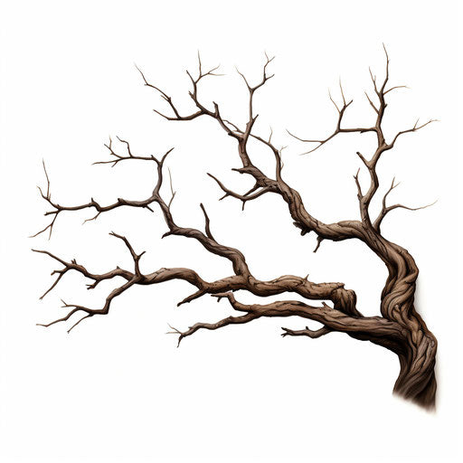 Tree branch silhouette on white background