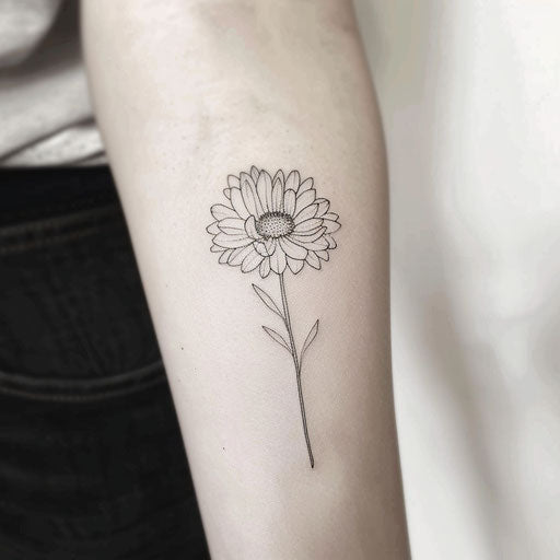 Minimalist black and white sketch of an aster flower with fine details