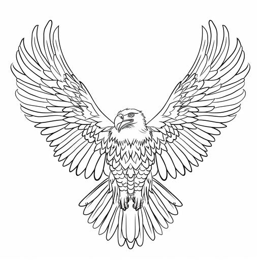 Simple outline of eagle with wide wings, perfect for kids