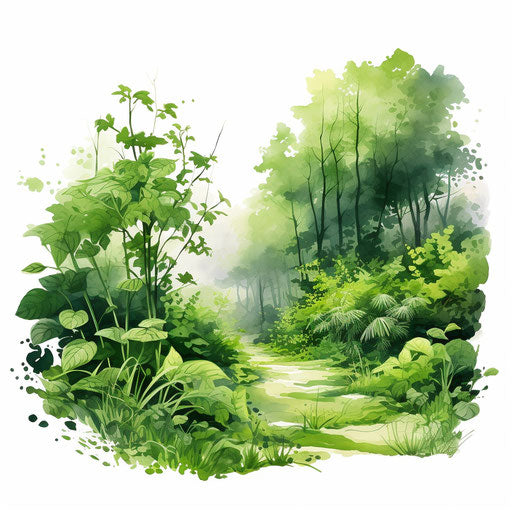 Greenery illustration in the style of oil painting, on white background