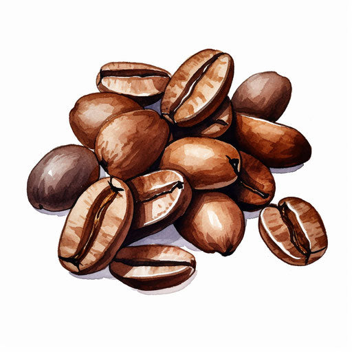 Coffee bean clipart in Minimalist style, on white background