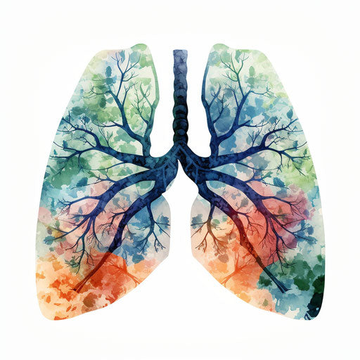 Lungs clipart in oil painting style, on white background
