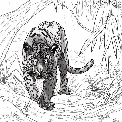 Black panther ready to pounce in the jungle