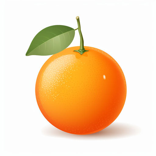 Orange clipart in Minimalist style, on white background