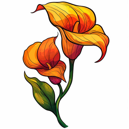Bold outline sketch of vibrant orange and yellow calla lily