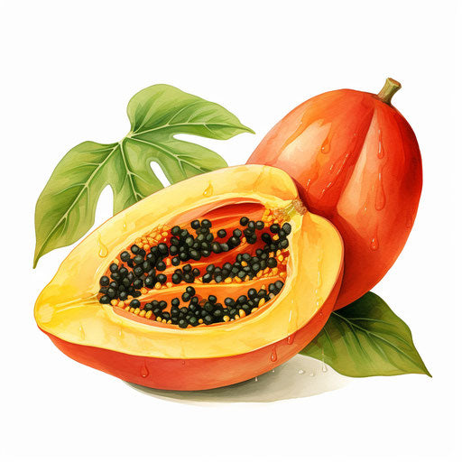 Papaya clipart in the style of Oil painting, on a white background