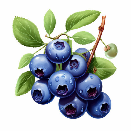 Blueberry clipart in the style of oil painting, on a white background
