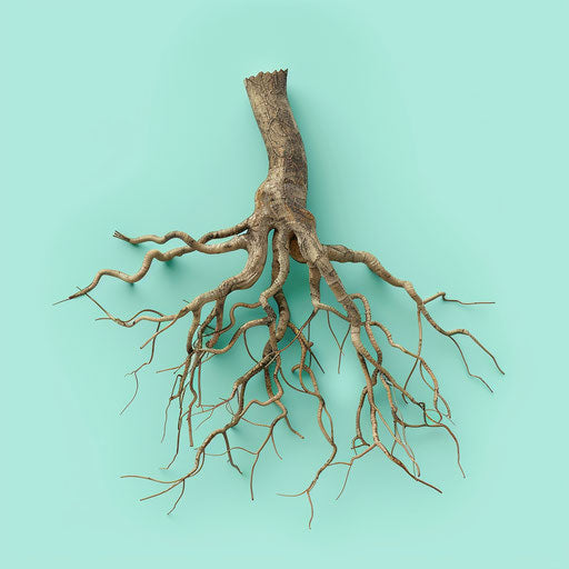 Realistic roots clipart on flat, serene aqua background