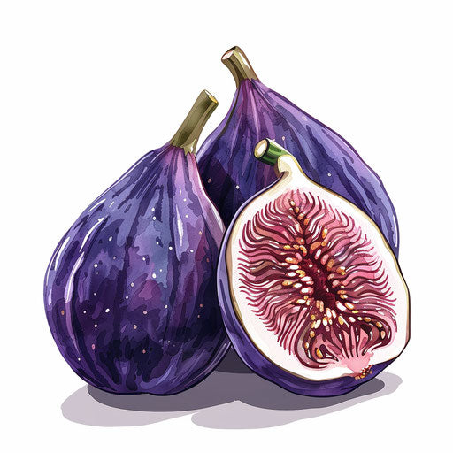 Realistic fig clipart on flat white background