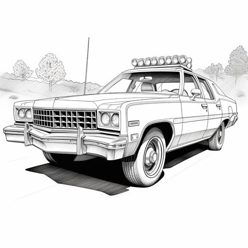 The patrol car in elegant blue and beige