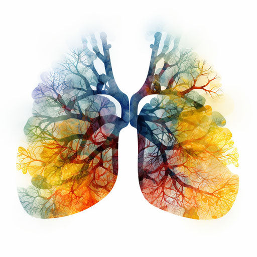 Lungs clipart in the style of Impressionistic Art