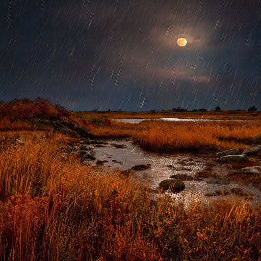 Dark Sky with Moonlight Over a Marshy Landscape