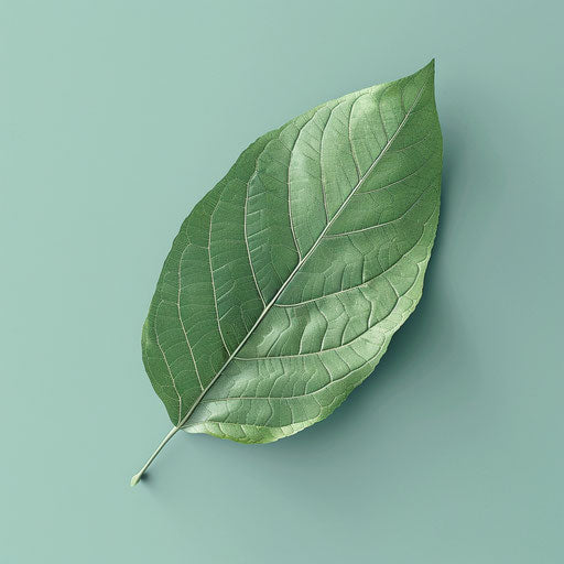 Realistic green leaf clipart on serene aqua background