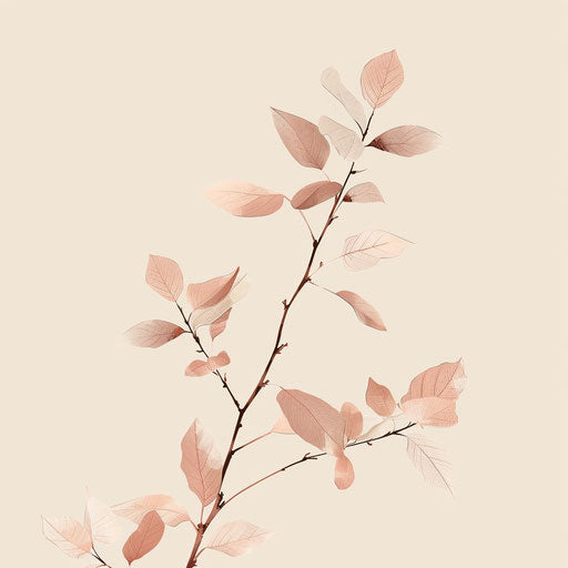 Whisper in an elegant muted tones