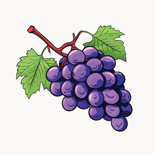 Minimalist grape artwork on white background
