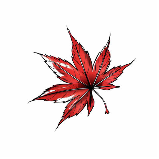 Japanese maple leaf tattoo, autumn red, on white background