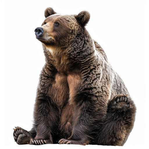 Realistic bear clipart against a flat white background