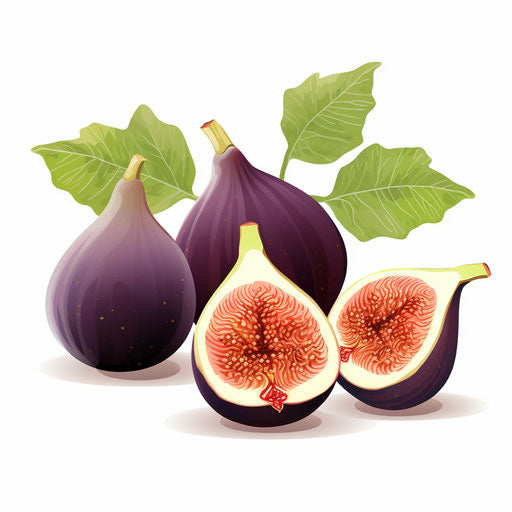 Minimalist Fig Clipart on White Background