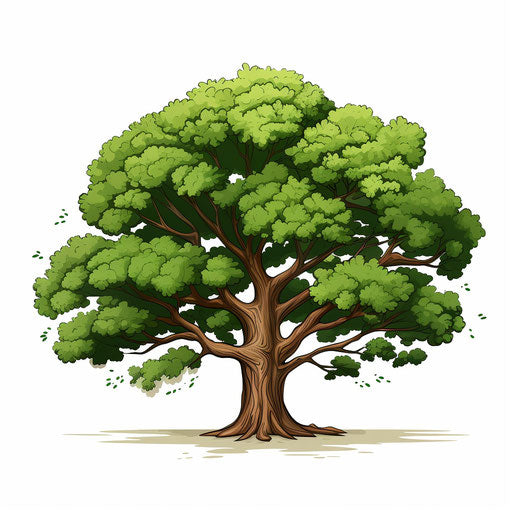 Minimalist style oak tree clip art on white background