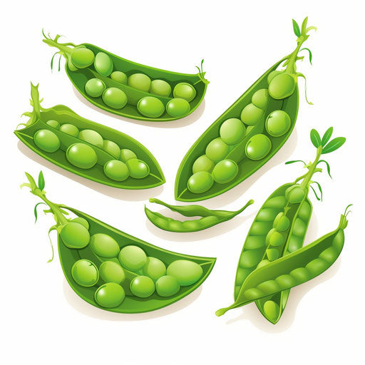 Minimalist peas illustration on a white background