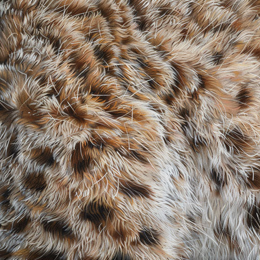 Patterns and colors of a lynx's fur