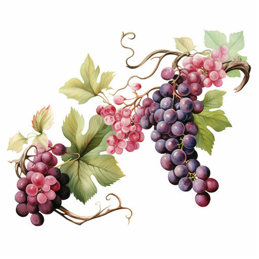 Garland clipart in the style of Oil painting, on a white background