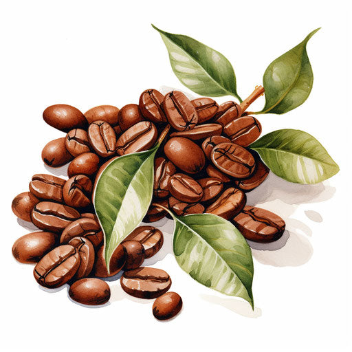 Coffee bean clipart in Oil painting style on white background